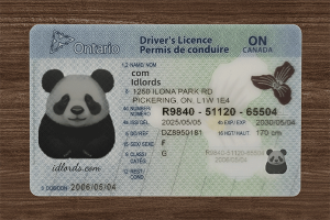 Custom novelty ID card design