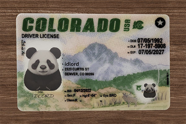 How to Customize Your Scannable Novelty ID Card Step by Step