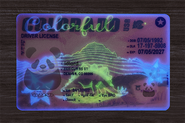 Best Scannable ID Guide 2026: Choose High-Quality Novelty IDs Safely