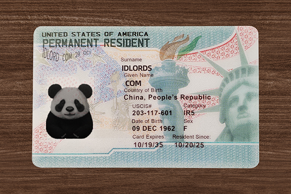 Best novelty USA residential ID card design by IDLord