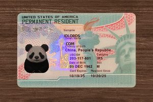 Best novelty USA residential ID card design by IDLord