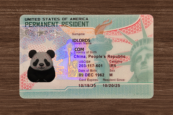 Best novelty USA residential ID card design by IDLord
