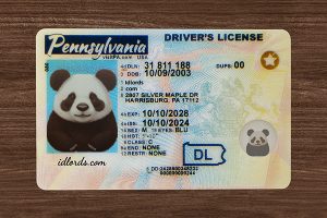 Best website for novelty IDs online – IDLord custom ID cards