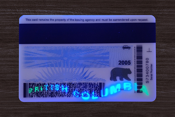 Close-up of a novelty scannable ID being scanned for verification