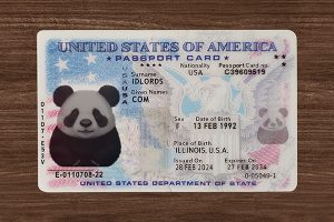 Scannable U.S. State Novelty ID card with realistic design and barcode details