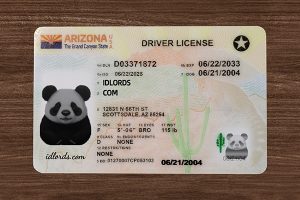 Create stunning novelty ID cards online with IDLord design tools