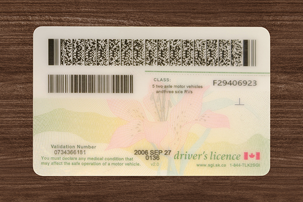 Realistic novelty ID card with a premium and authentic-looking design