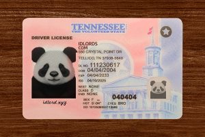 Top 10 scannable card templates for beginners by IDLord