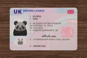 Best novelty IDs with realistic design and premium finish