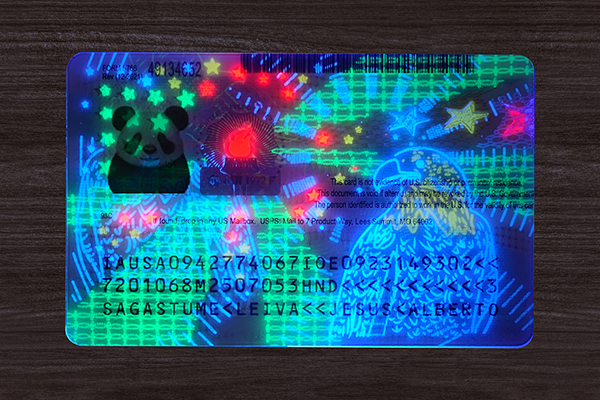 Scannable novelty ID card with barcode and hologram features