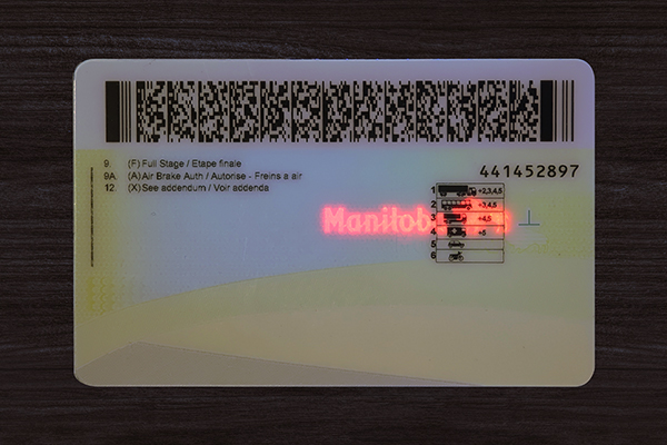 High-quality scannable ID card with realistic hologram and barcode
